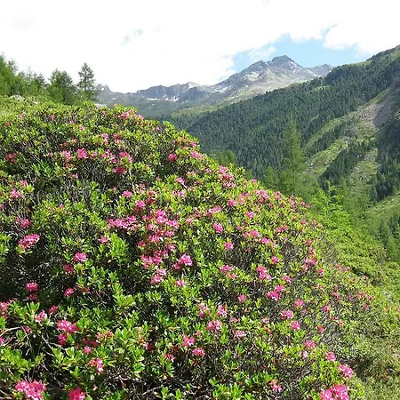 Gasthof Jagawirt - Gastehaus Alpina סנט יקוב אין דפרגן